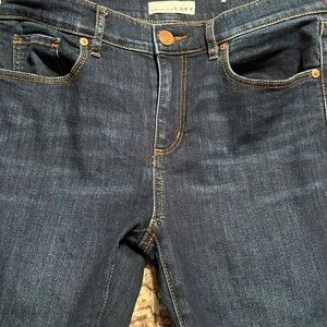 Loft size 28/6 modern skinny jeans